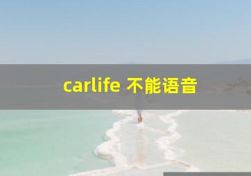 carlife 不能语音